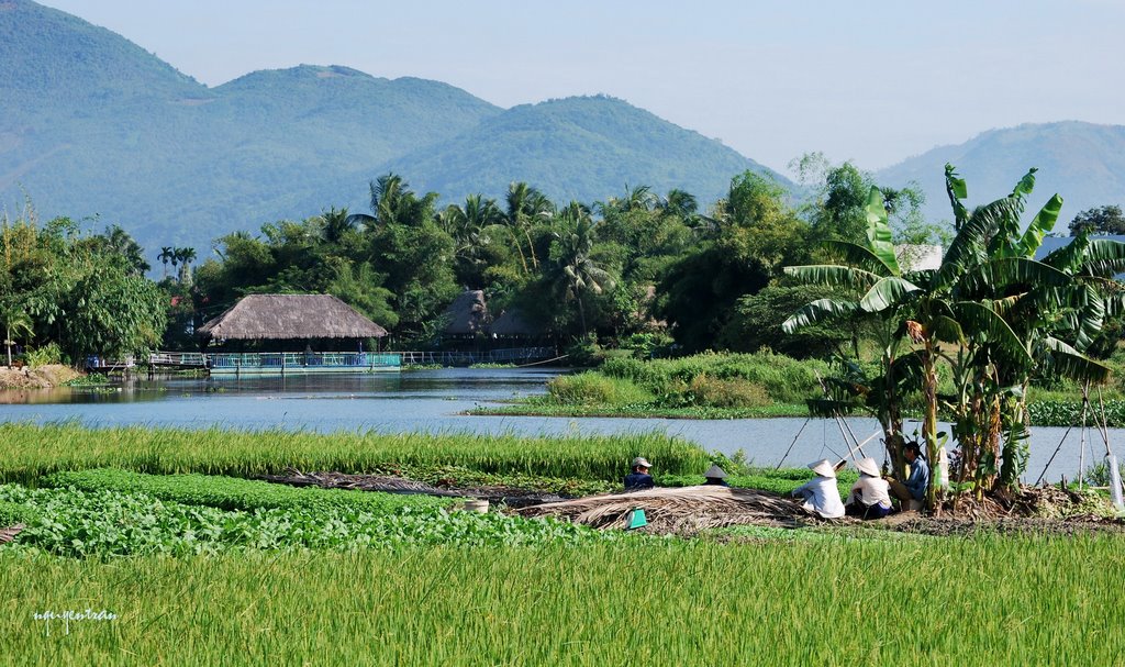 Bà mẹ đồng quê