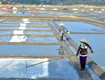 Muối sạch Sa Huỳnh giá cao