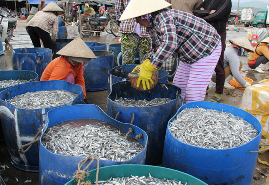 Những phiên biển cuối năm