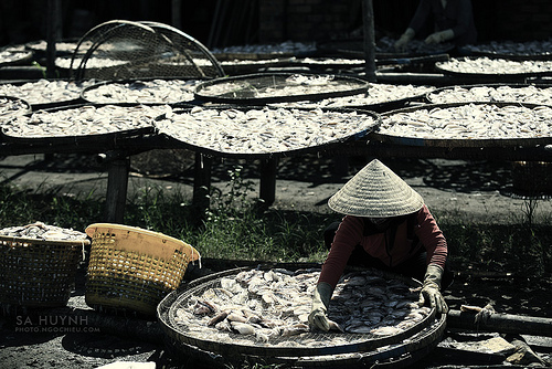 Nghề làm mực