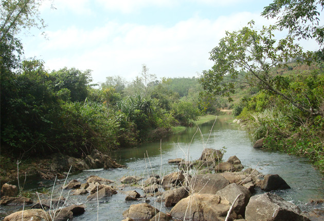 Chầm chậm Đồng Vân