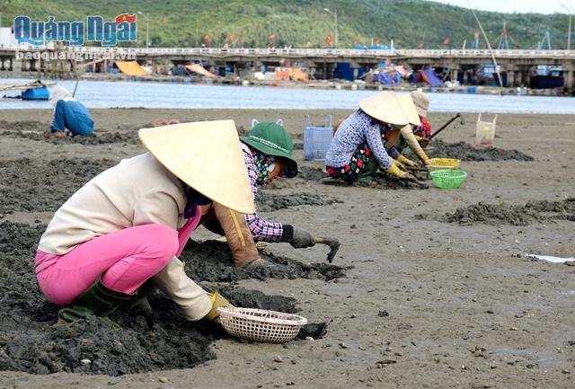 "Bới đầm" tìm nguồn sống