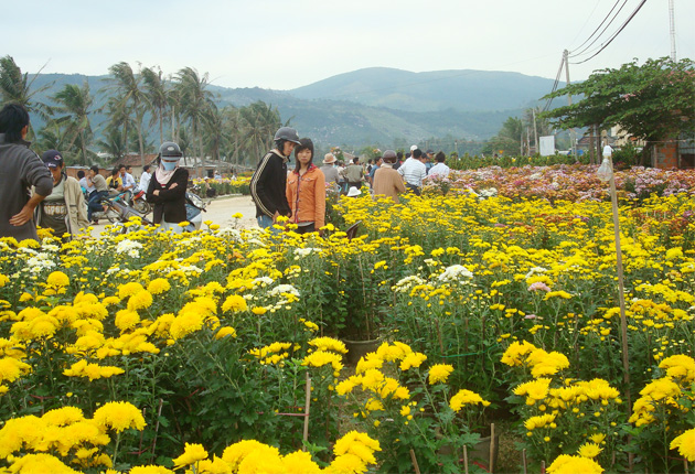 Ngày tết Sa Huỳnh