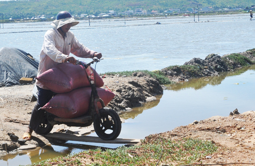  ...và cả sự khéo léo