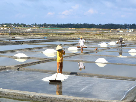 Diêm dân làng muối Sa Huỳnh tất bật thu hoạch muối cuối vụ.