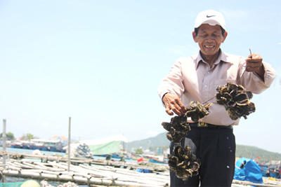 Ông Thanh với hàu nuôi tại lồng bè của gia đình